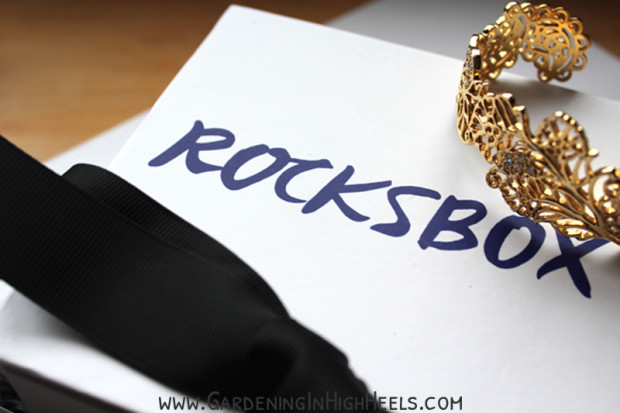 Rocksbox subscription sends designer jewelry to your door!
