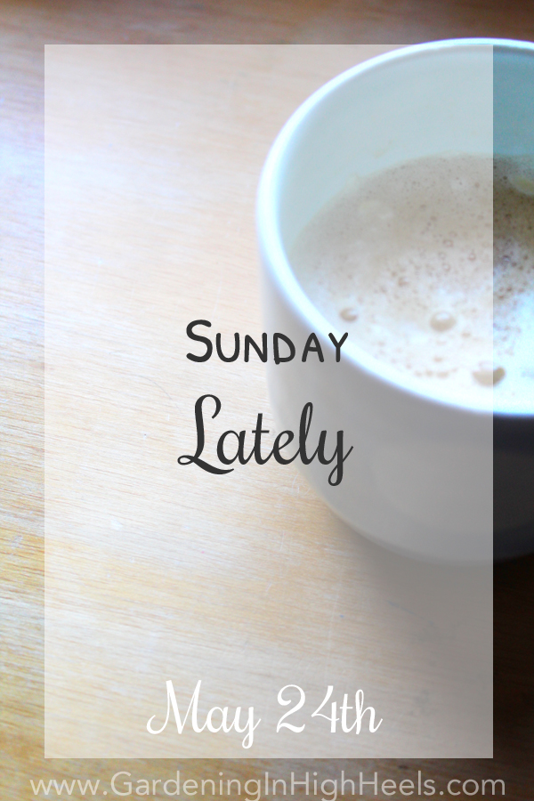 What have you been up to lately? This is week 14 of Sunday Lately link up with Katy, Meghan, and Nicole!