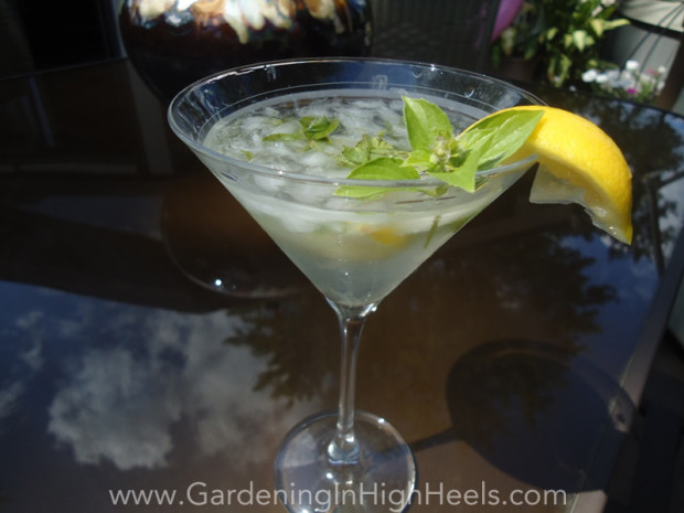 Lemon Basil Mojito make with lemon basil and white rum is the perfect summertime cockail with a little extra something special!