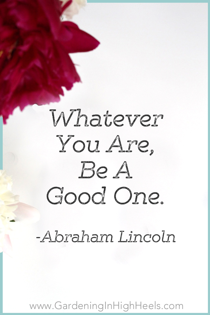 Whatever you are, be a good one. - Abraham Lincoln